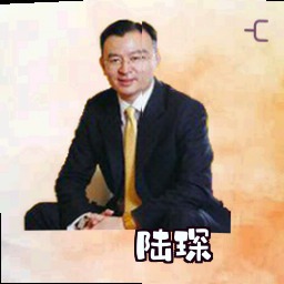 陆琛